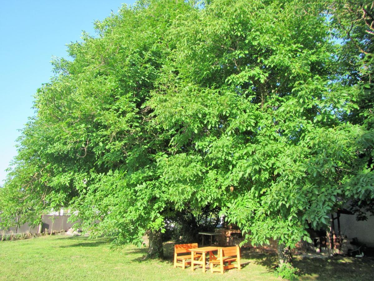 Pod Orehi Acomodação com café da manhã Postojna Exterior foto
