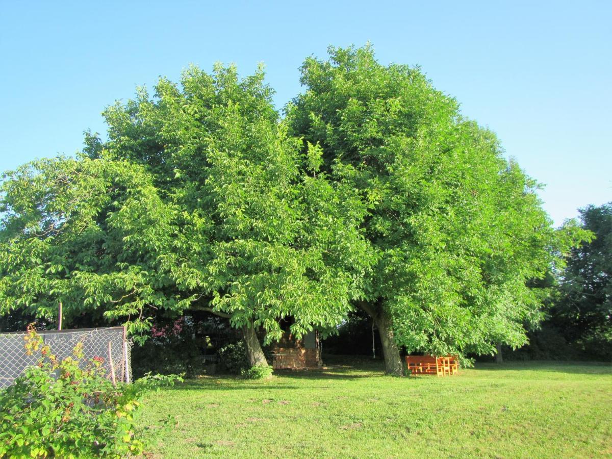 Pod Orehi Acomodação com café da manhã Postojna Exterior foto