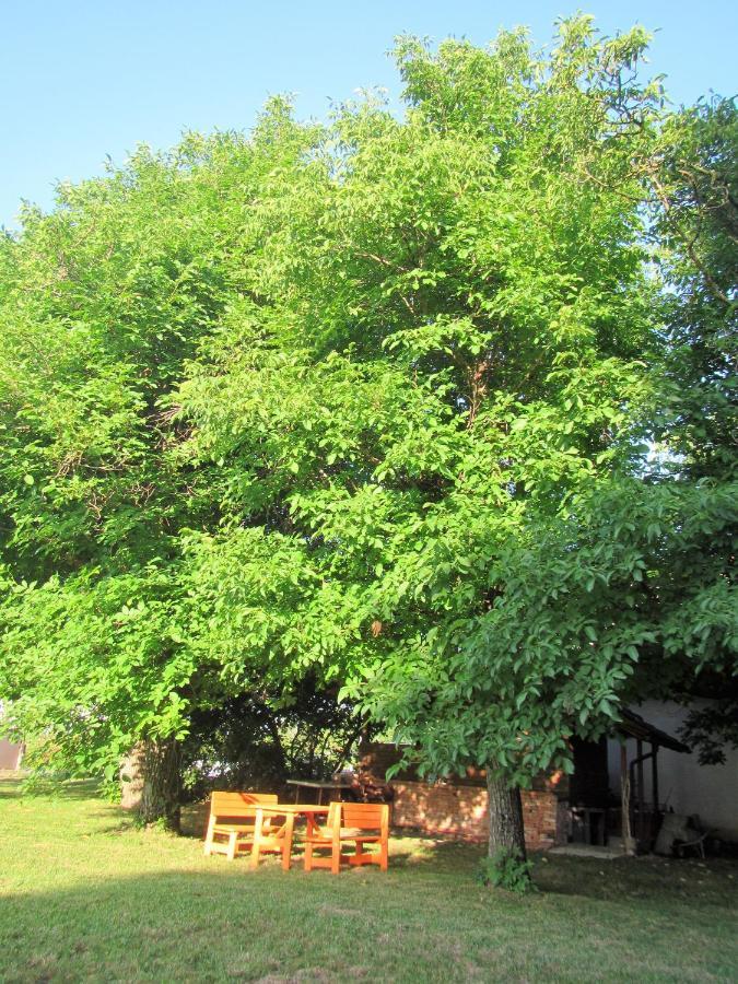 Pod Orehi Acomodação com café da manhã Postojna Exterior foto