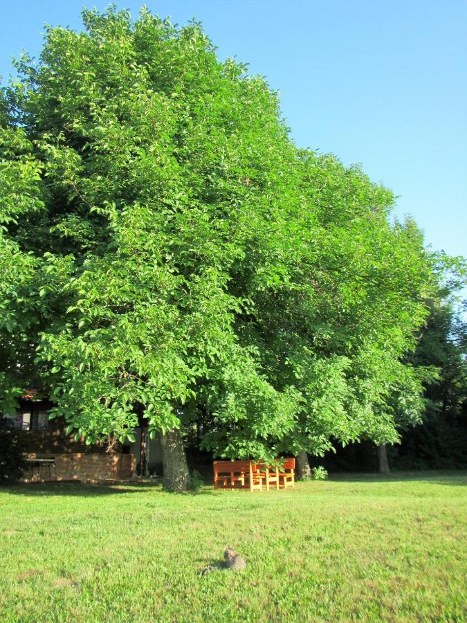 Pod Orehi Acomodação com café da manhã Postojna Exterior foto